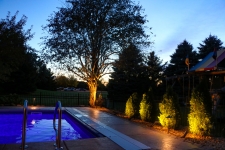 outdoor lighting near trees and shrubs