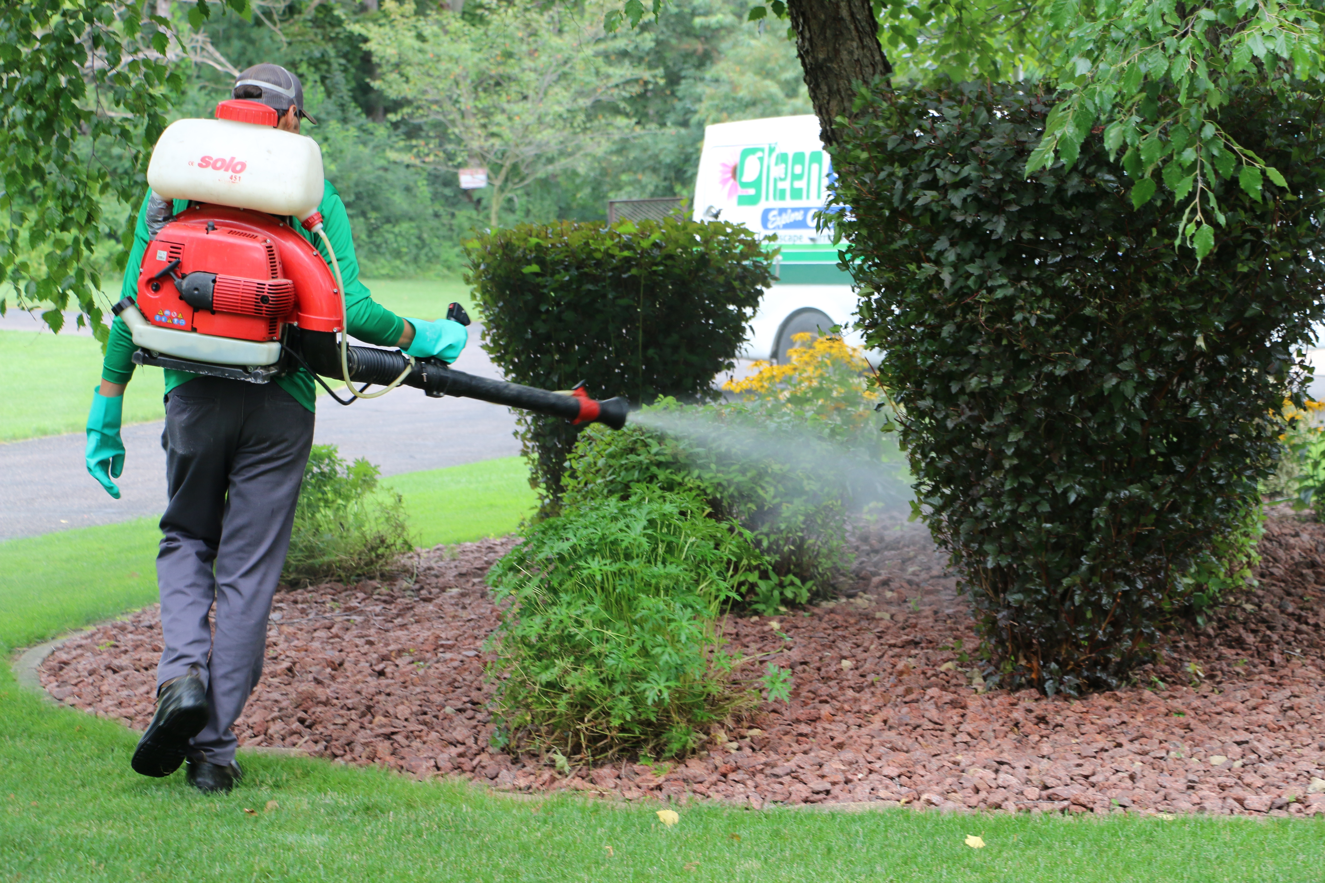 Green Oasis pest and mosquito control